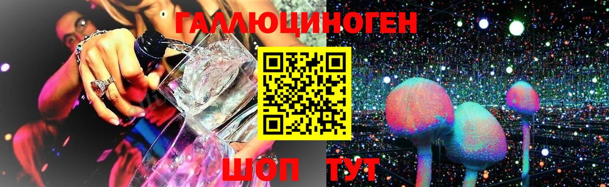 Вязники  Псилоцибиновые грибы Psilocybe  Вход с VPN  Галлюциногенные грибы GOLDEN TEACHER 
